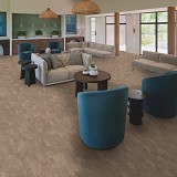 Philadelphia Commercial Carpet Tile
Refocus